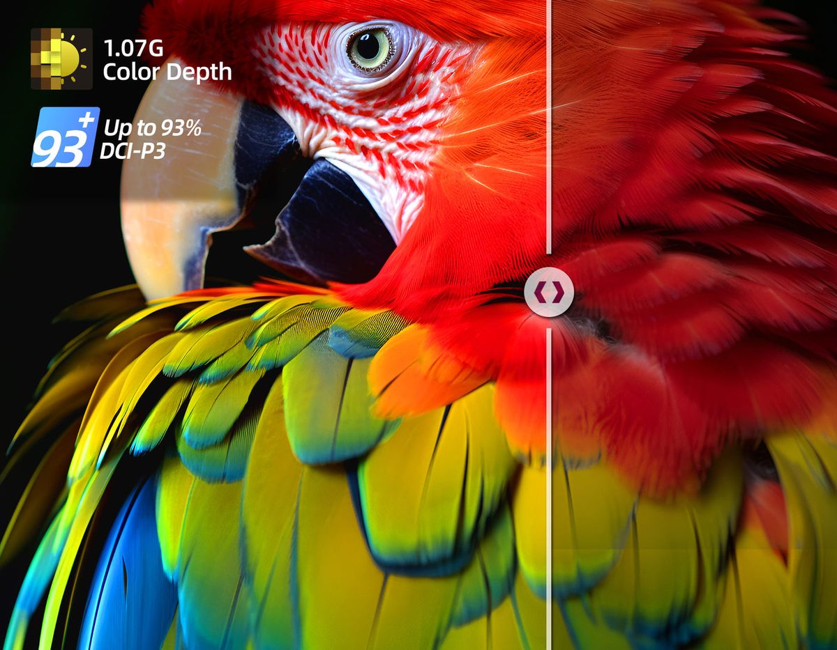 Close-up of a scarlet macaw split down the middle to compare colour, badged 1.07G colour depth and up to 93% DCI-P3